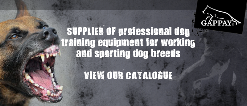 Dog Sport Equipment