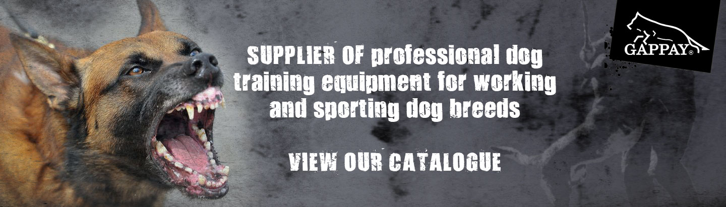 Dog Sport Equipment